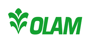 Olam
